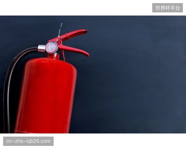 缺乏统一的安全与维护标准，可能导致劣质器材充斥市场，最终损害整个行业的信誉